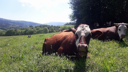La Ferme de La Métairie Basse, Ferme Bio à Saint-Amans-Soult
