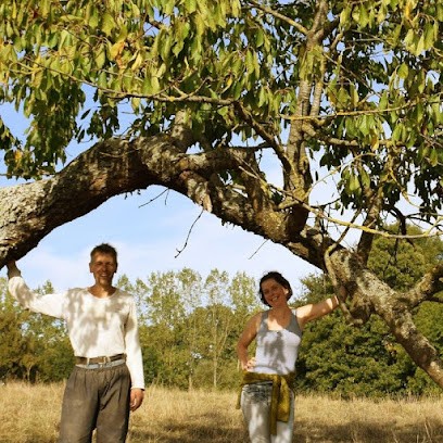 Ferme bio du Chênot, Ferme Bio à Changé