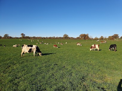 Gaec les deux marguerites, Ferme Bio à Saint-Félix-de-Lunel
