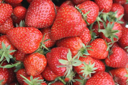 Cueillette La Frestellée, Ferme Bio à Aubry-le-Panthou