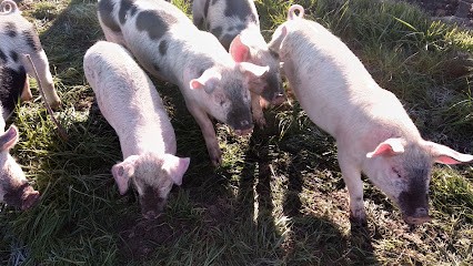 Gaec L'Art du Cochon Bio, Ferme Bio à Tartaras