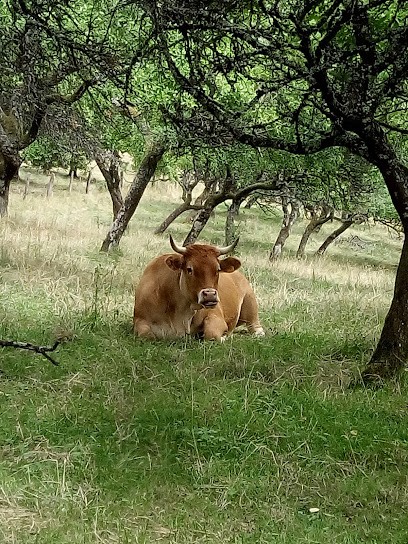 EARL Coanet Sylvain, Ferme Bio à Girancourt