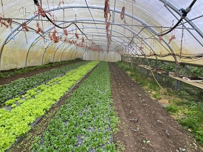 Le Noyer Grand Potager Bio, Ferme Bio à Rodemack