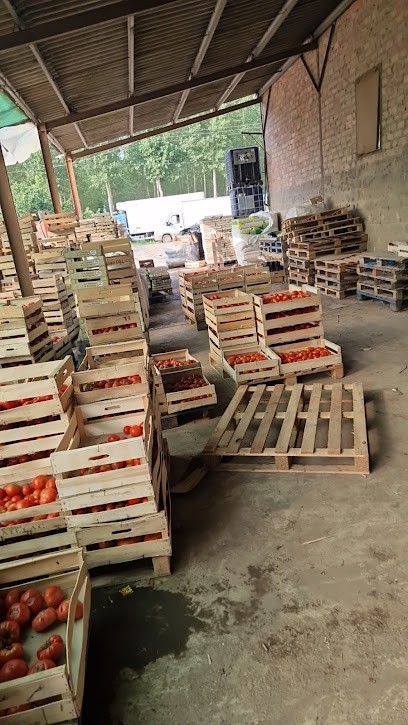 Manente Primeurs, Ferme Bio à Meilhan-sur-Garonne
