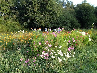 Le Potager de l'Enclos, Ferme Bio à Marsas