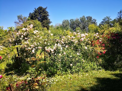 Rose des Arts, Ferme Bio à L'Isle-sur-la-Sorgue