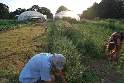 Les Jardins d'Auz, Ferme Bio à Saint-Maulvis