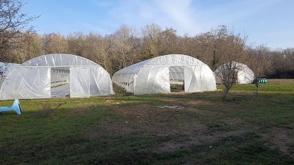La fabrique des légumes, Ferme Bio à Montbouy