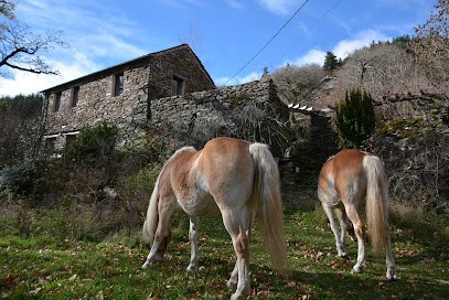 gîte Vieljouve Haut, Ferme Bio à Saint-André-de-Lancize