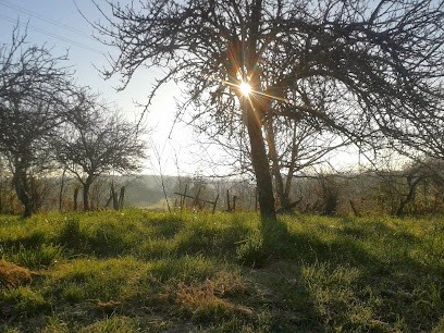 Ferme de Labaurie, Ferme Bio à Eyzerac