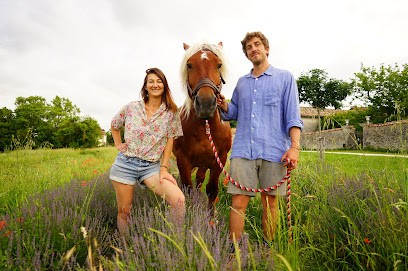 Les trésors de galien, Ferme Bio à Verteillac
