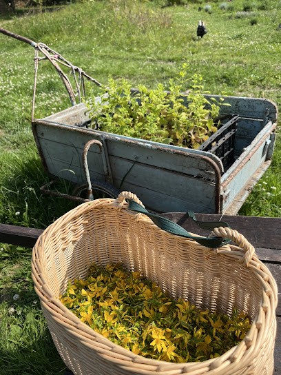 Louzaoua, Ferme Bio à Trévou-Tréguignec