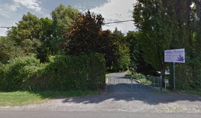 SAFRAN FRANCAIS / SAFRAN DE BEATRICE, Ferme Bio à Chézy-sur-Marne