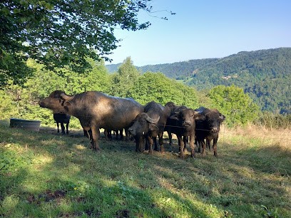 Ferme des Abères, Ferme Bio à Rivèrenert