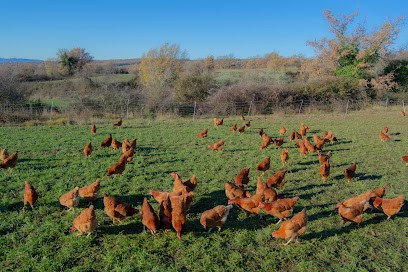 GAEC des Mourres Claire et Damien Joubert, Ferme Bio à Forcalquier