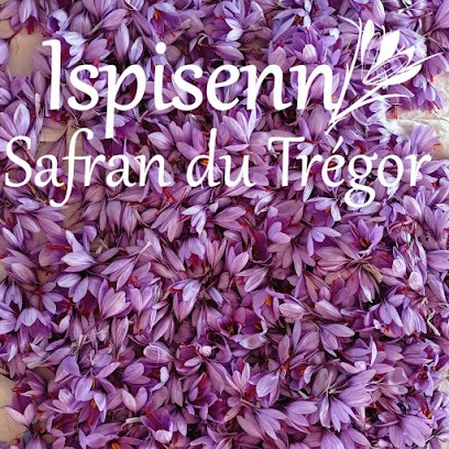 Ispisenn - Safran Du Trégor, Ferme Bio à Pleubian