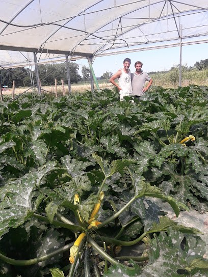 Les légumes de ménaut, Ferme Bio à Bonnut
