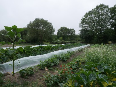 Les Vouages, maraîchage biologique, Ferme Bio à Montmartin-sur-Mer