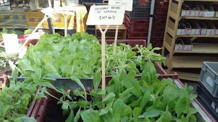 Les Bons Plants De Sophie, Ferme Bio à Touët-sur-Var
