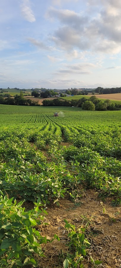Ferme de Parays, Ferme Bio à Astaffort