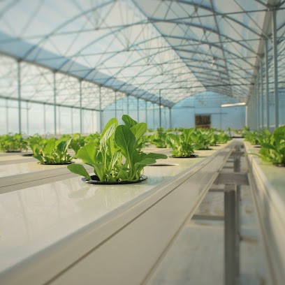 La Ferme Païdeia, Ferme Bio à Messia-sur-Sorne