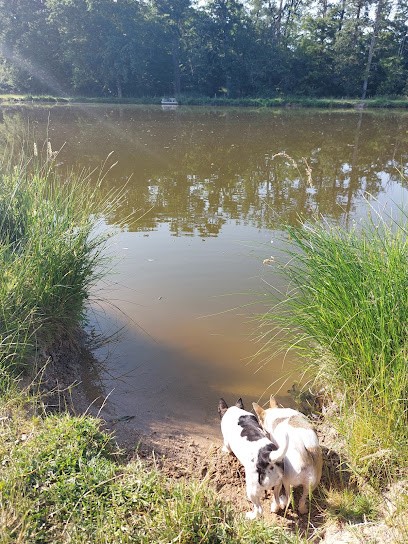 Ferme du Creuset, Ferme Bio à Neuville-lès-Decize