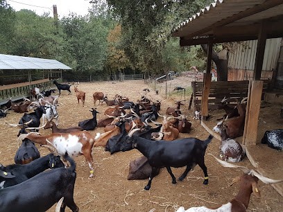 Ferme de la Jacourelle, Ferme Bio à La Roque-d'Anthéron
