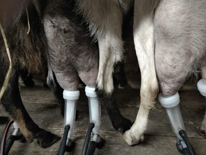 Ferme de la petite Forêt, Ferme Bio à Cuiseaux