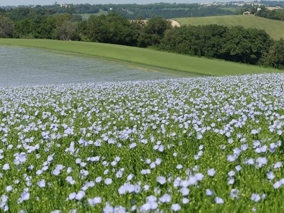 AU PETIT GRAIN BIO, Ferme Bio à Montclar-Lauragais