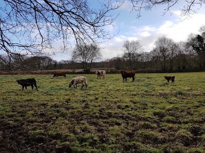 La Ferme Des Vergers, Ferme Bio à Plerneuf