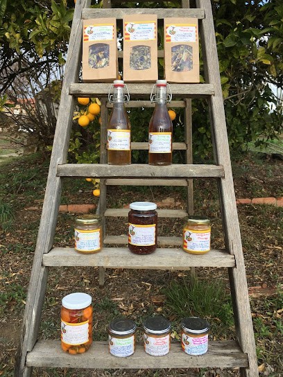 Le Jardin MARC, Ferme Bio à Saint-Laurent-de-la-Salanque