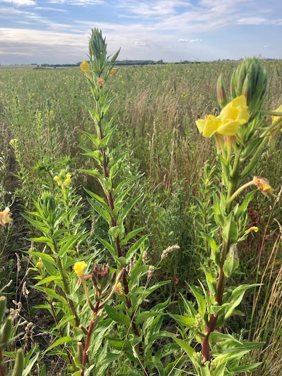 Berry Bask Bio, Ferme Bio à Ségry