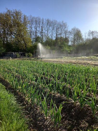 Jardins de Blandine, Ferme Bio à Bondues