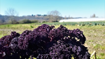 Ferme Larqué, Ferme Bio à Assat
