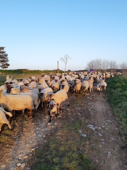 Le Bouchet - Ferme agroécologique - Tisanes de plantes sauvages - Agneaux Bio - Farines Bio, Ferme Bio à Cherier