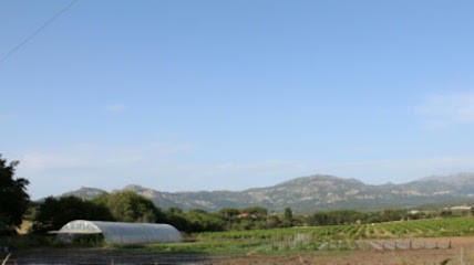 Le Potager de la Signoria, Ferme Bio à Calvi