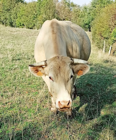 Entret terre et Ciel (GAEC), Ferme Bio à Saint-Julien-Gaulène