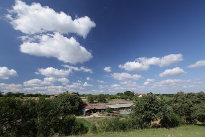 Ferme du Loriot, Ferme Bio à Lasséran