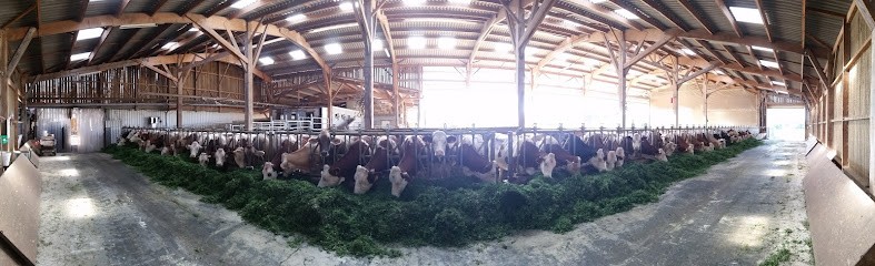 GAEC du Champ Beaublé - Les formes de Pierrette, Ferme Bio à Blacy