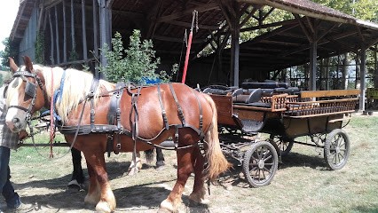 Un Monde à Refaire - Jardin Potager Partagé, Ferme Bio à Marciac