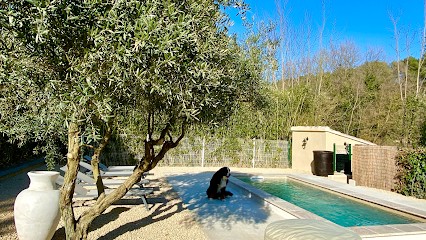 Gite Bastide, Ferme Bio à Cadenet