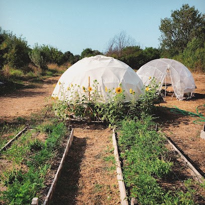 Carotte Et Cocotte, Microferme Participative, Ferme Bio à La Garde