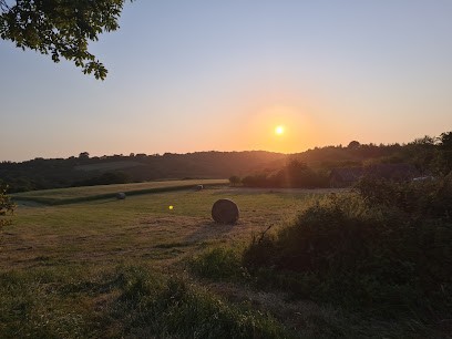 L'agneau du Tregor, Ferme de la Bretonnie du Roscoat , lieu dit Kervadeg, Ferme Bio à Plouzélambre