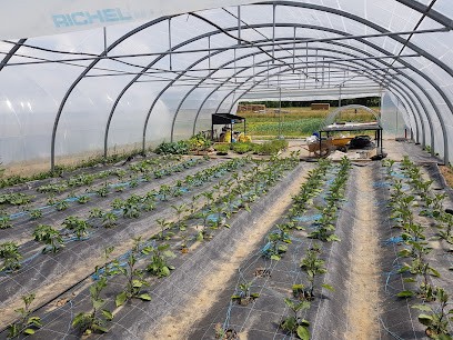 Ferme Des Gouttières, Ferme Bio à Saint-Loup-Géanges