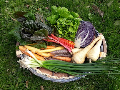 Jardins de l'Aubenière, légumes bio. Dernière vente ferme mardi 3/9/24, présence au marché de Matignon tous les mercredis, Ferme Bio à Saint-Cast-le-Guildo