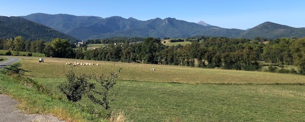 Ferme Pitelle, Ferme Bio à Montastruc-de-Salies