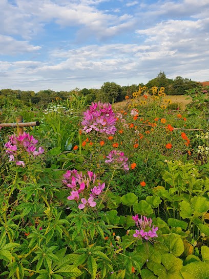 Le Potager De Nicolas, Ferme Bio à Issendolus