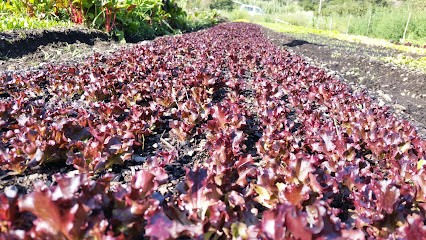 Entre les arbres / Le jardin - Redondo Simon, Ferme Bio à Céret
