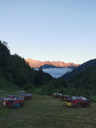 GAEC la Borda d'Ambrosi, Ferme Bio à Sillas