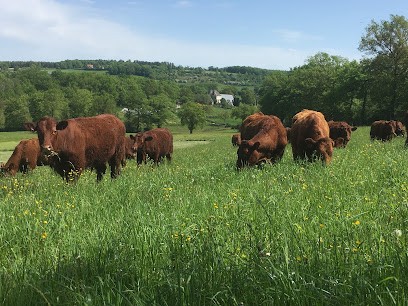 Ferme de Lalande (GAEC), Ferme Bio à Sansac-de-Marmiesse
